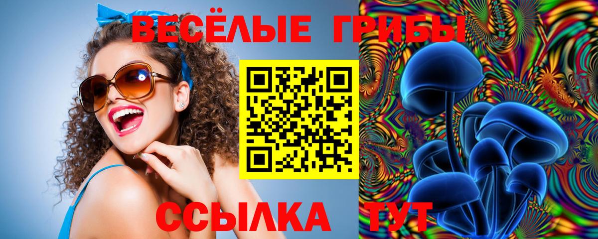 Псилоцибиновые грибы MAGIC MUSHROOMS Амурск